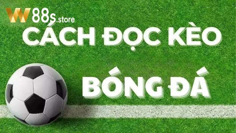 Cách Đọc Kèo Bóng Đá W88 là gì?