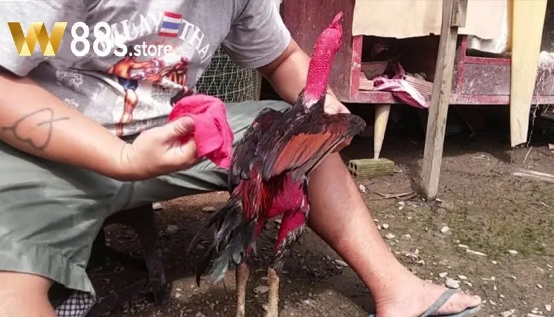 Câu hỏi thường gặp