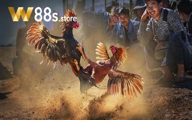Những thông tin nên kiểm tra