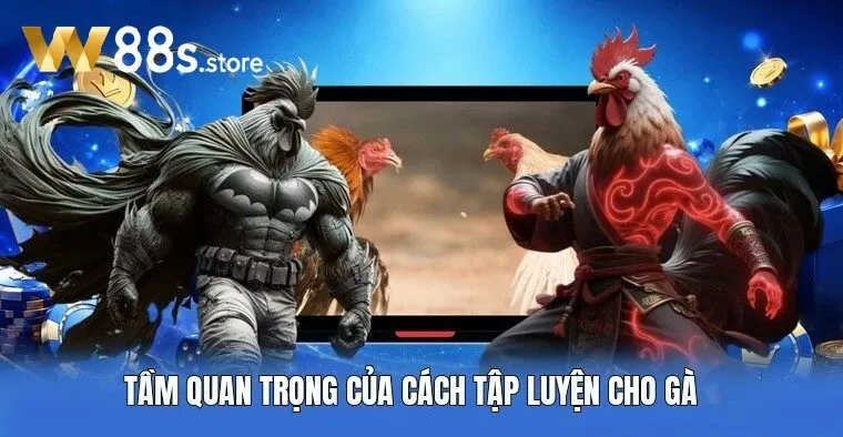 Tầm quan trọng của Bài Tập Rèn Luyện Thể Lực Cho Gà Đá W88
