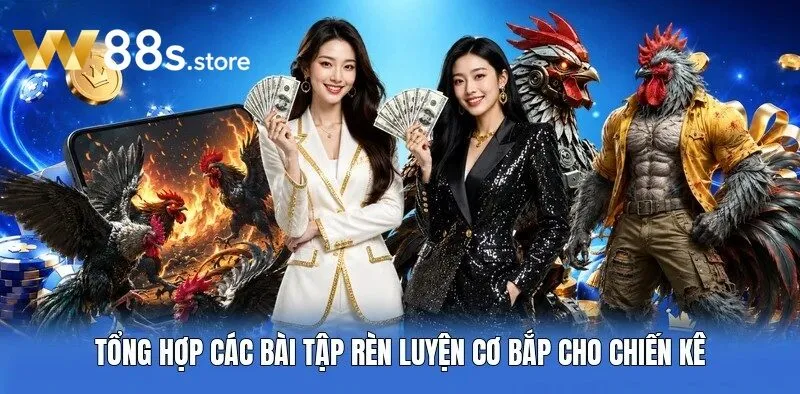 Tổng hợp các bài tập rèn luyện cơ bắp cho chiến kê